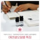 [수업후기-일요반] NAHA 하남영국아로마테라피센터 자격증