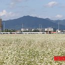 춘천시선거관리위원회 이미지