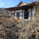 금수촌집 이미지