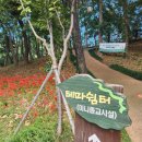 선암호수공원축구장(주말) 이미지