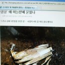 창규농장 Daum카페