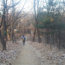 온수공원(지양산) 유아숲체험원 이미지