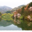 전통칼국수 이미지