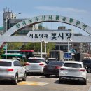 농수산시장 공판장 옆 | 양재꽃시장 영업시간 일요일 주차 휴무 생화 매장 도매 후기