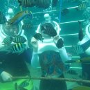 코타키나발루 툰구압둘라만 해양국립공원 아일랜드 투어중 씨워킹~~~ 이미지