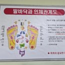 강남족욕(본점) 이미지