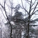 새해첫날 홍천가리산 눈세상 속에서(2013.1.1) 이미지