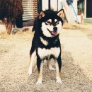 우월한스테이 이미지