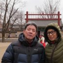 꽃순이네 Daum카페