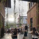 우리벨리햇님 이미지