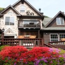 미천골산울림펜션 이미지