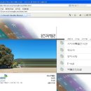 웅진교육박물관 Daum카페