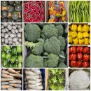 ㈜강릉농산물도매시장 | 강릉 식당 사장님들, 식자재 때문에 매일 아침 일찍 일어나시나요?