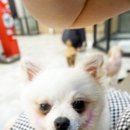 조이동물병원 이미지