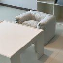 아기 책상 추천 / bacci Leo Playtable 바치 레오 플레이테이블 내돈내산 후기