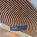 눈이편한안과의원 | 밝은눈안과 강남, 시력교정 상담 받고 온 솔직후기