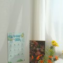 청룡전자 이미지