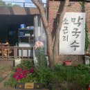소근리막국수 - 광주시 도척윗로 165 | 양평 현지인이 추천하는 숨은 맛집 ㅣ 소근리막국수 서종본점 후기