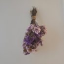 여시물길 이미지