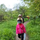 카카오톡 다운로드 사진 이미지