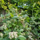 천을농장 이미지