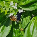 혜윰한의원 이미지