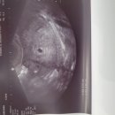 연세제이엘산부인과의원 이미지