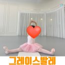 그레이스발레학원 | 대전 관평동 발레 아이가 좋아하는 그레이스 발레학원