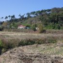 대운산리 이미지