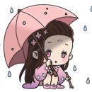 새봄공인중개사사무소 이미지