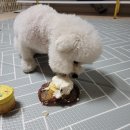 탄앤쿠키 이미지