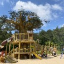 쇠평어린이공원 놀이터 이미지