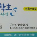 굿모닝하우스민박 - 고성군 토성로 136 | 굿모닝하우스민박