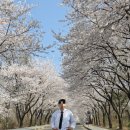 버스정류장 | [스튜디오] 토탈스튜디오 셀럽비비 후기 - 버스정류장 씬 (+벚꽃)