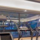 재미짐 여성전용 헬스 PT 응암점 이미지