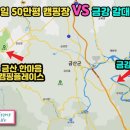 금강신세 이미지