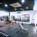 보정동 벨류 휘트니스 오후 파트 트레이너 구인 합니다. 이미지