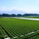 성한목장 이미지