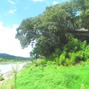 흰구름산촌마을 | 오인교의 전라도누정기행-곡성 설정(雪亭)