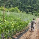 금산농약사 이미지