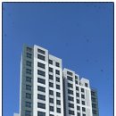 병점센트럴이비인후과의원 이미지