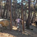 화원명곡숲 이미지