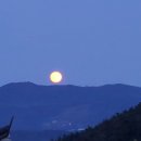 지리산약초관광농원 이미지