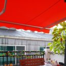 귤현초등학교 이미지