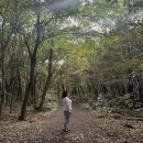 제주위미농업협동조합하례지점 | [10주년 제주여행] 1,2일차 - 애월포레스트M, 자매국수, 폭싹속았수다 전시회, 카페 비케이브, 카페...