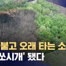 광인