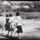 삼영 농장 이미지