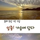 일출전자 이미지