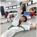 신나는태권도장 이미지