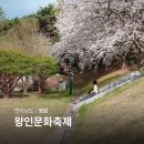 호매실벚꽃음식문화거리 | 영암 왕인문화축제 영암 벚꽃 실시간 목포 근교 주말 나들이